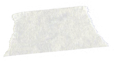 Tape Strip