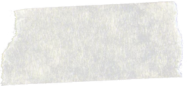 Tape Strip